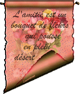 l'amiti�