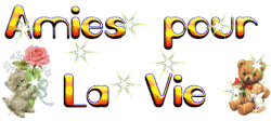 la vie des aimie