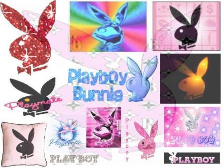 le playboy