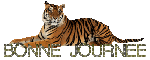 bonne journee